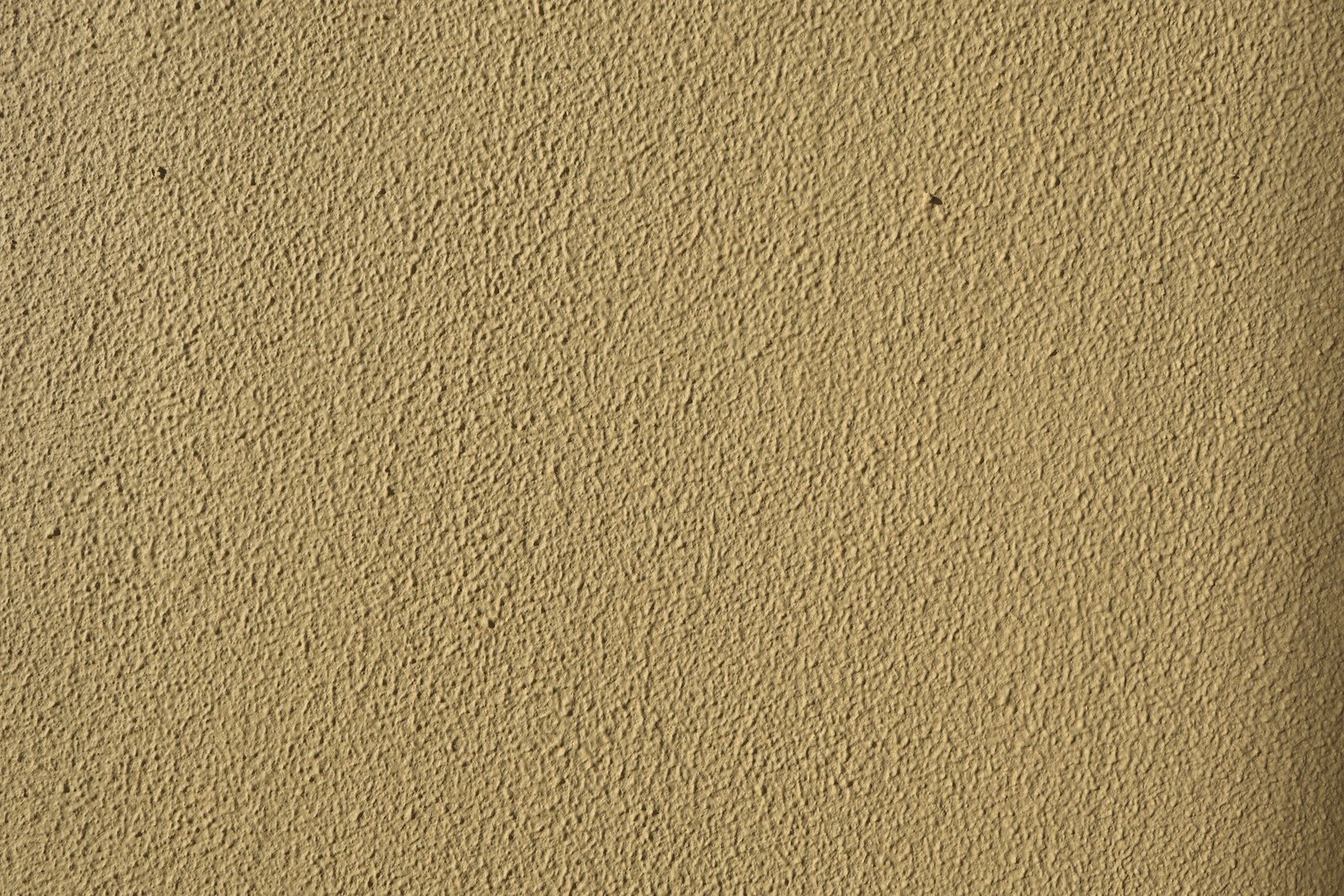 Putzwand nimmt Farbe auf